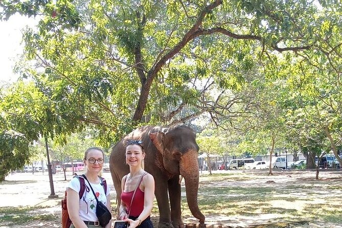 Tuk Tuk Private Tour Exploring Sri Lanka Capital of Colombo - Lotus Tower, Hindu worship, and two Beira Lake temples