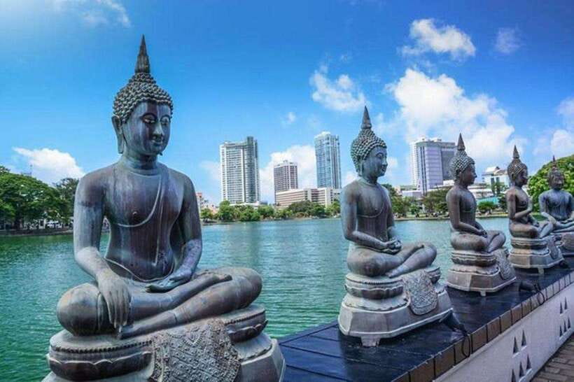 Tuk Tuk Tales of Colombo From Cruies - The driver’s role makes or breaks the experience