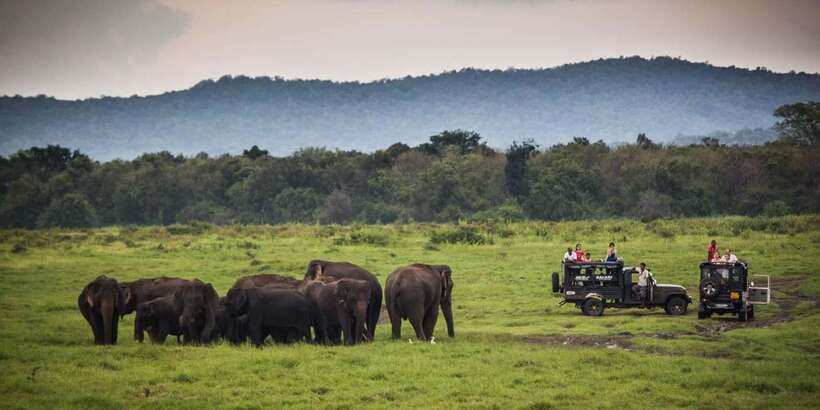 Udawalawa National Park: All-Inclusive Private Day Tour - Booking details worth checking first