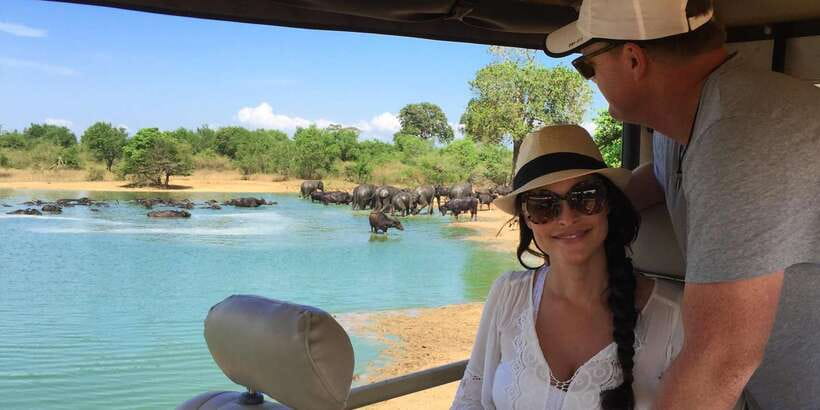 Udawalawa National Park: All-Inclusive Private Day Tour - Three hours among elephants and open country