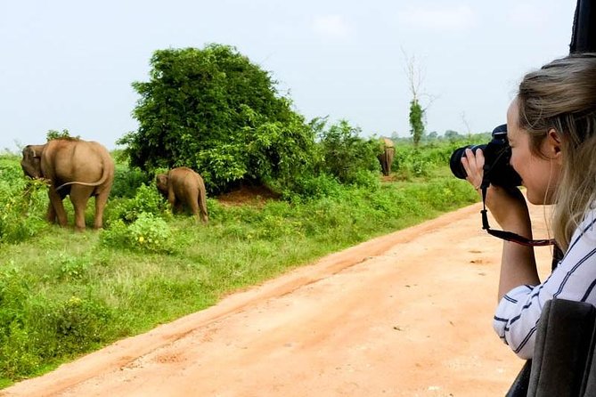 Udawalawe Safari Day Trip from South Region & Transfer to Ella - The Elephant Transit Home in 30 minutes