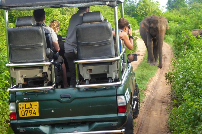 Udawalawe Safari Day Trip from South Region & Transfer to Ella - Who will get the most from this experience?