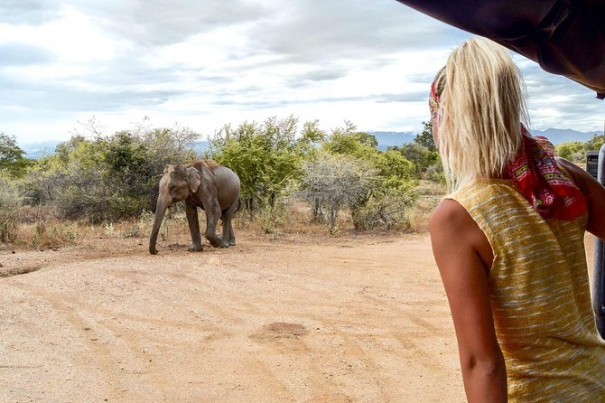 Udawalawe Safari Day Trip from South Region & Transfer to Ella - What the private transport adds