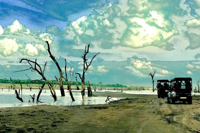 Ultimate 8-Day Sri Lanka Adventure: Private Guided Tour - Day 1: Elephants, crafts, and an Ayurvedic treatment