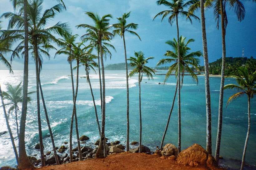 Visit sri Lanka 7 Days Round Trip - Day 7: Galle Fort, the Madu River, and your final drop-off
