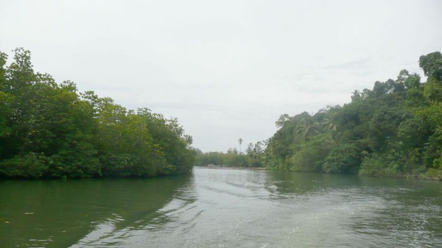 West coast Beach, River Mangroves lagoon, Wildlife boat Tour - Guide quality and the tipping issue