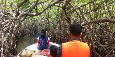 West coast Beach, River Mangroves lagoon, Wildlife boat Tour