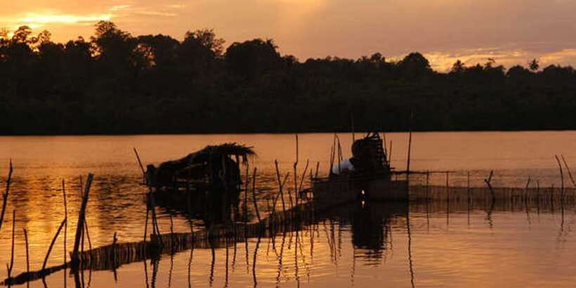 West coast Beach, River Mangroves lagoon, Wildlife boat Tour - Masks, folklore, and the commercial side of the route