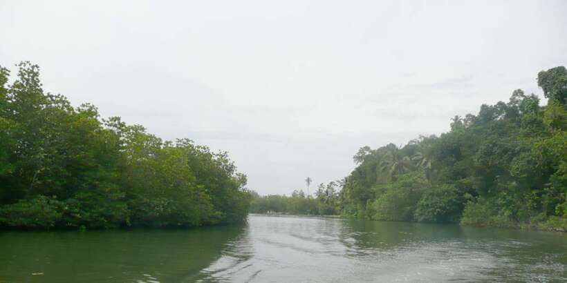 West coast Beach, River Mangroves lagoon, Wildlife boat Tour - A walk on Bentota Beach