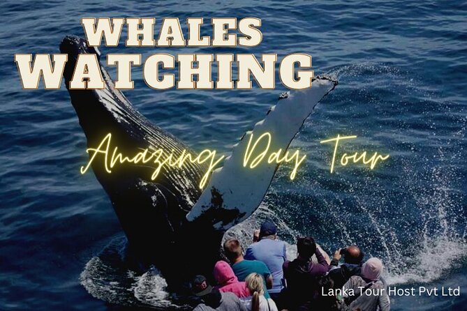 Whales Watching Mirissa Day Tour - Jungle Beach: bring your own towel