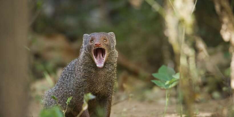 Wilpattu National Park Safari Tour from Colombo - The guides and the human side of the journey