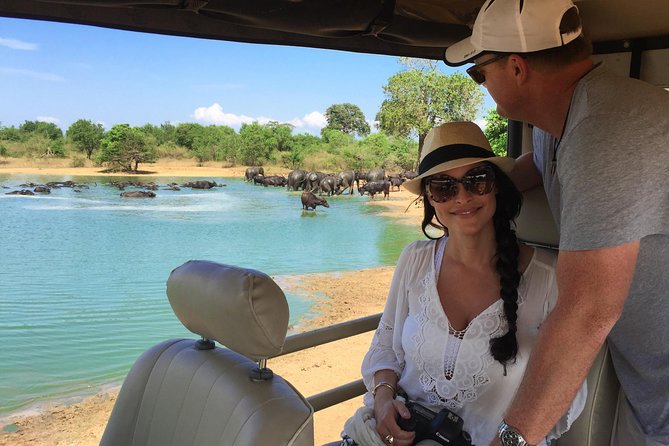 Yala Full Day Safari with Picnic Lunch - Private & All Inclusive - What the Yala day is really like