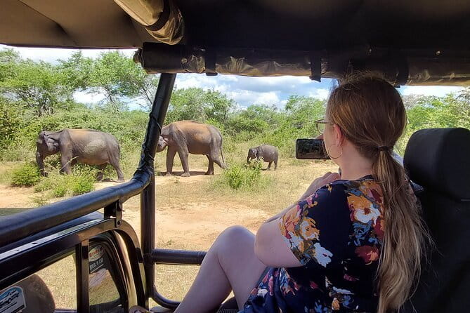 Yala National Park Private Jeep Safari From Colombo & Negombo - How the four-hour park visit feels
