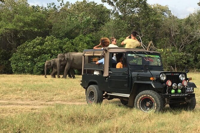 Yala National Park Private Jeep Safari From Colombo & Negombo - Is $250 per person fair value?