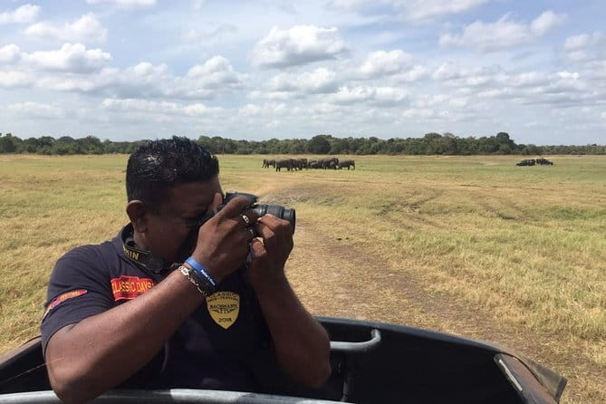 Yala National Park Private Jeep Safari From Colombo & Negombo - Safety and vehicle quality deserve attention