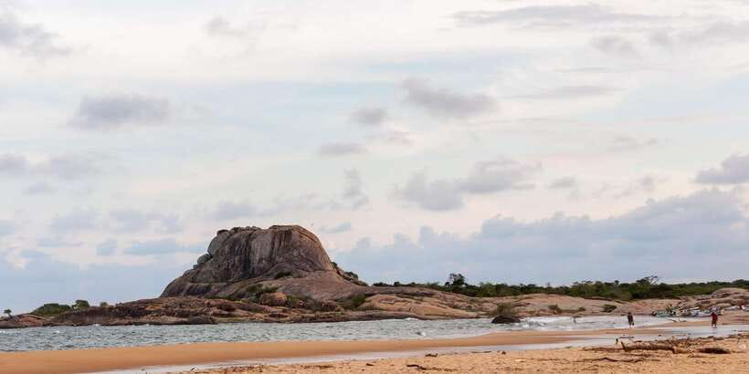 Yala Safari All-Inclusive Package with Convenient Pick Up - What you may see in Yala